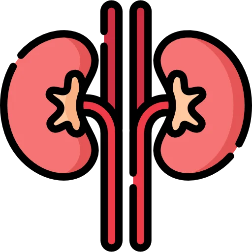 Nephrologist icon