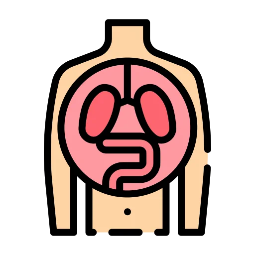 Pulmonology icon